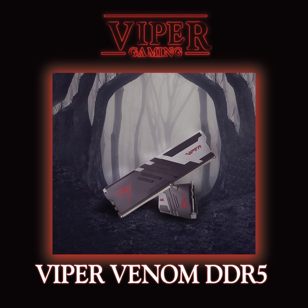 patriot_viper's tweet photo. Delve into the Upside Down with the Viper Venom DDR5 Performance RAM 👀 Armed with speeds up to 6200 MHz, the Viper Venom is here to help your system get to the next level!
.
.
.
#gamer #gaming #strangerthings #gamingram #esports #valorant #gamercertified #vipergaming https://t.co/1x7rJNtIZA
