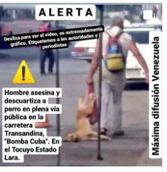 #Atención URGE intervención gubernamental <a href="/SomosNevado/">MisiónNevadoVzla</a> @Minpublicoven     RT <a href="/MirniaT/">Mirnia</a>: TOCUYO ESTADO LARA