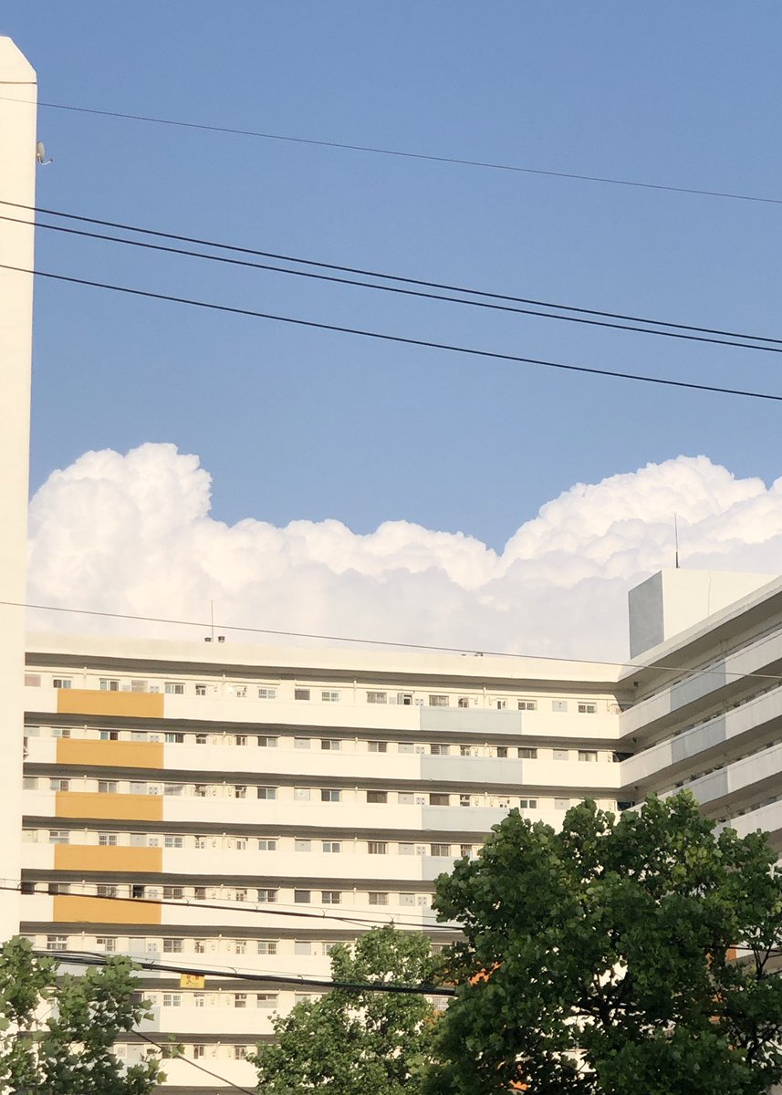 오늘 날씨 최고 ☁️☀️🌳