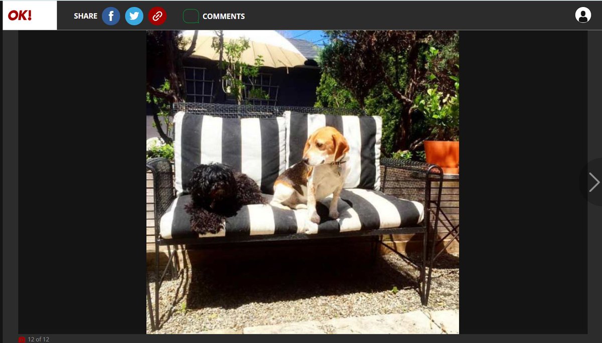 What a familiar sofa!!! What does that mean?
ok.co.uk/lifestyle/gall…
<a href="/MeghansMole/">MeghansMole©️</a> <a href="/marklenews1/">Marklenews1</a> <a href="/LouLouLa10/">LouLou LA -Flying the Flag for our British Royals</a> <a href="/ChangaDuchessof/">DuchessofChungaChanga</a> <a href="/MoaningSparkle/">Duchess Moaning $parkle ✨ (Parody) ♛♕♔♚</a> <a href="/DebacleMarkle/">Markle Debacle</a> <a href="/JoCoCo20/">JoCoCo MAGA 💖🇺🇸😂</a> <a href="/hrrysgreysuit/">HarrysGreySuit</a> @gofakeyourselfM <a href="/dupers_super/">🏴‍☠️sᴜᴘᴇʀ ᴅᴜᴘᴇʀ’s ᴅᴇʟɪɢʜᴛ🏴‍☠️</a> <a href="/according2_taz/">According2Taz</a> <a href="/grazia747/">Only One Kate</a> <a href="/summersparks56/">✨SummerSparkles✨</a>