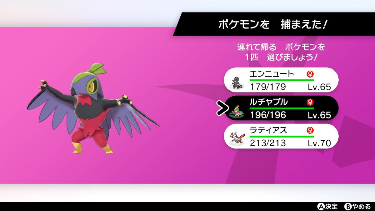 祝開店大放出セール開催中 可愛い ポケモン ルチャンブル Lacistitis Es