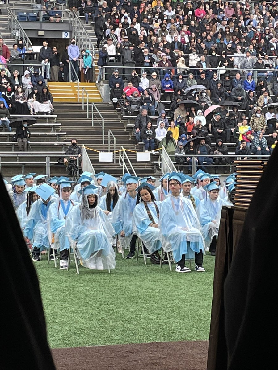 Dayle Spitzer tweet media