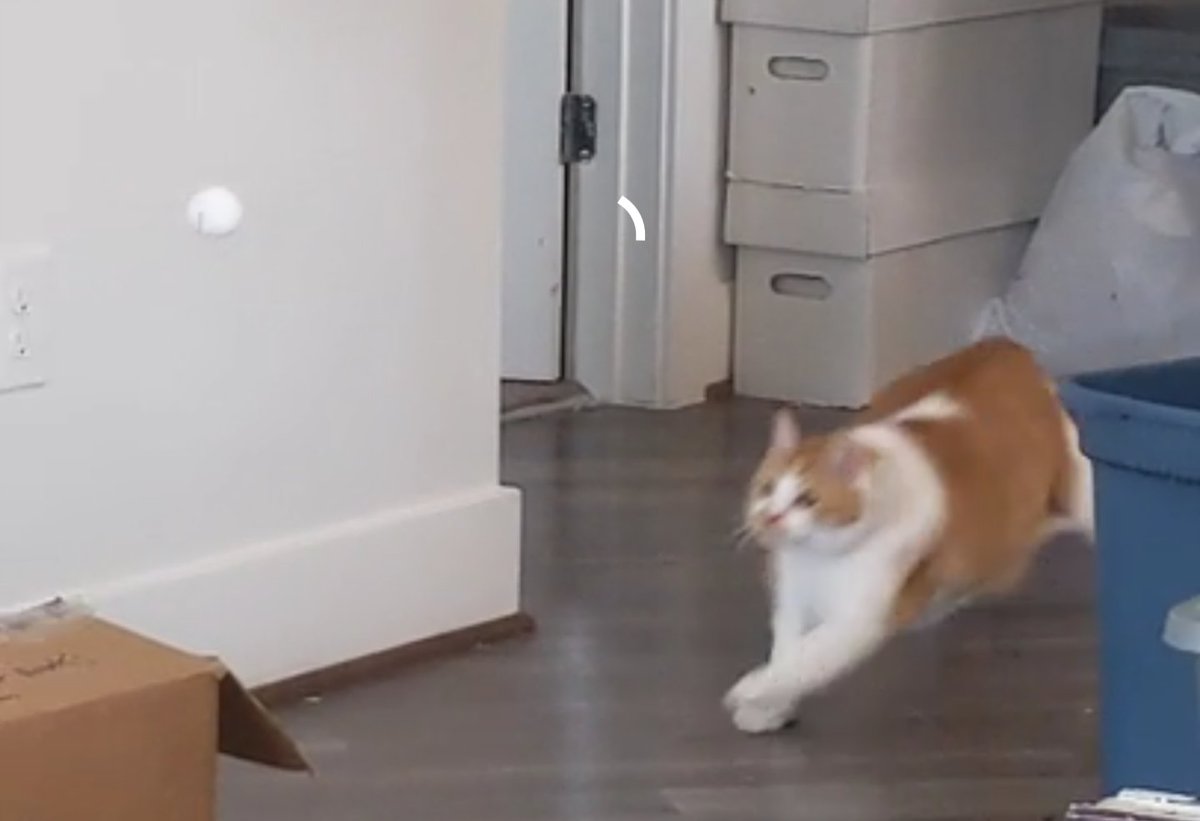 RickyBabyB0y's tweet photo. Ball!! https://t.co/z9LvixBJzb