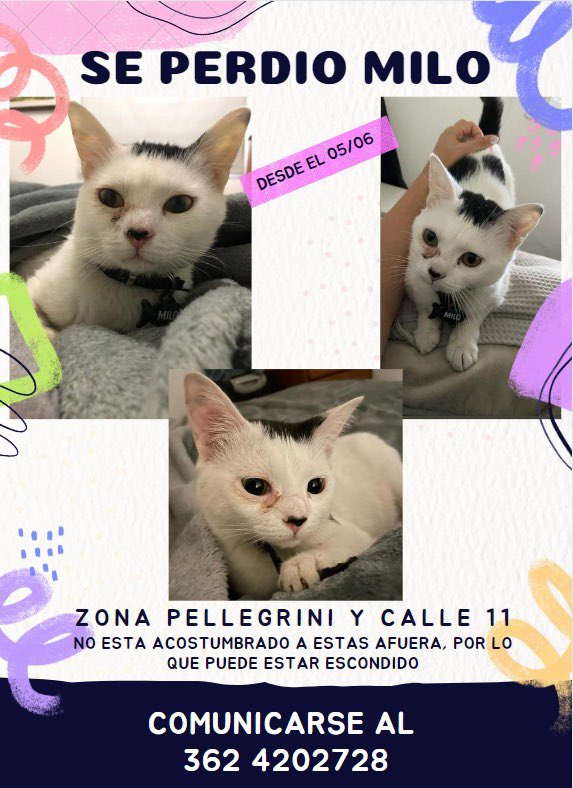 AgustinaLivaB's tweet photo. Por favor si alguien lo ve 😭🙏🏼🙏🏼 https://t.co/j7alA5IWmE