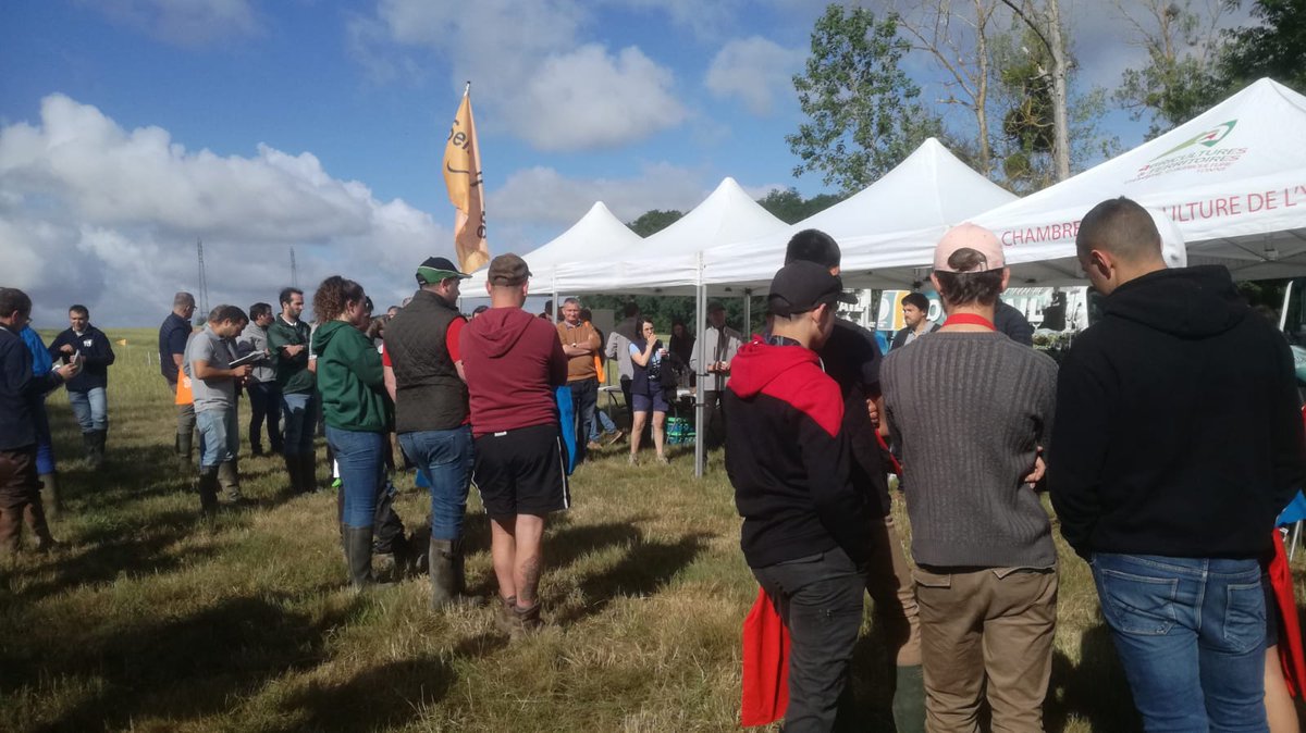 Marie Bouillé tweet media