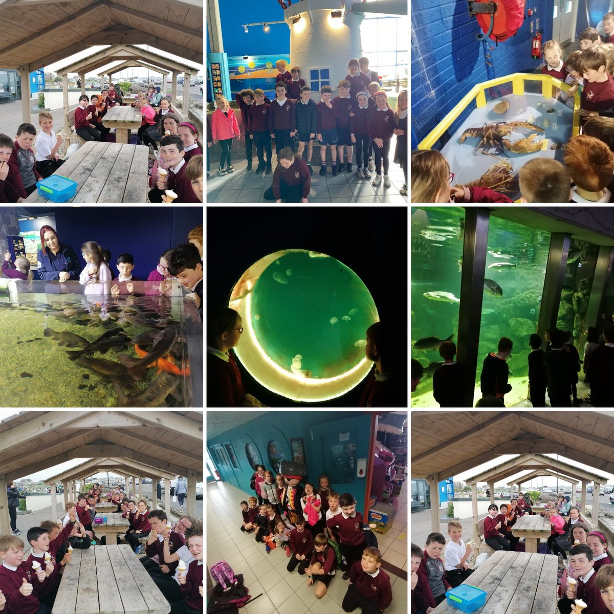 Second class had such fun on their school tour to the Salthill Aquarium today! <a href="/kinvarans/">Kinvara NS</a> 🐟🦈🐠