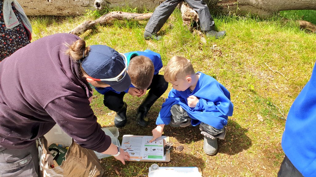 Phoenix Class - Connolly School Campus tweet media