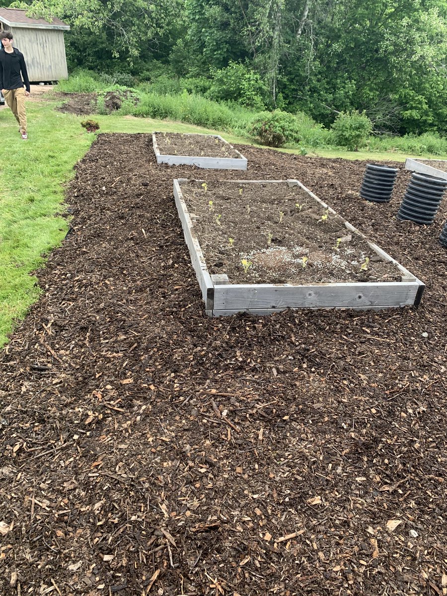 ssrsbngrhs's tweet image. The agriculture 11 class was hard at work today. The community garden is now all seated and ready for growing season. And all the mulch that was donated has been laid. Huge thanks to Mr. Wilson for making this happen. #experientallearning