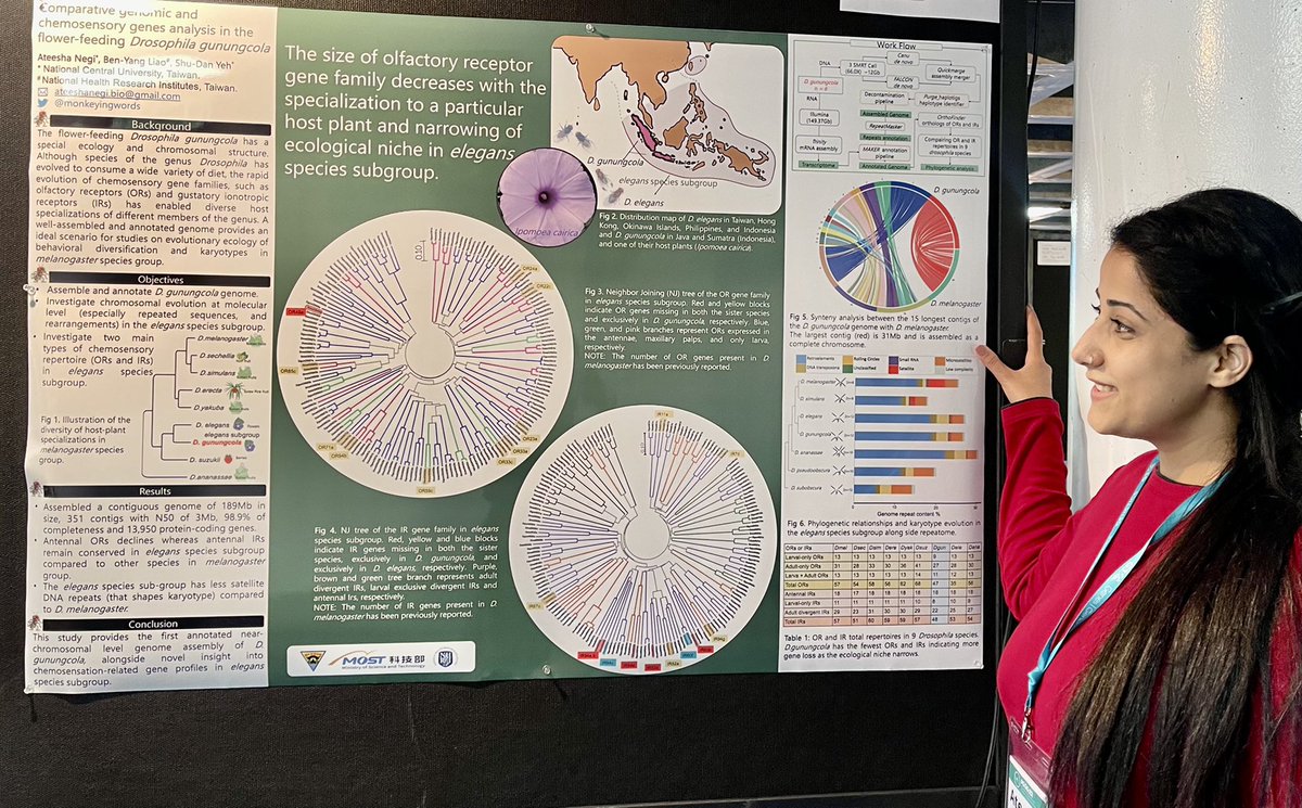 monkeyingwords's tweet photo. I time traveled a day back to present my work at #PEQG22. Stop by my poster 75T tonight and let me introduce you to flower-feeding Drosophila! https://t.co/X43O0IYv5m
