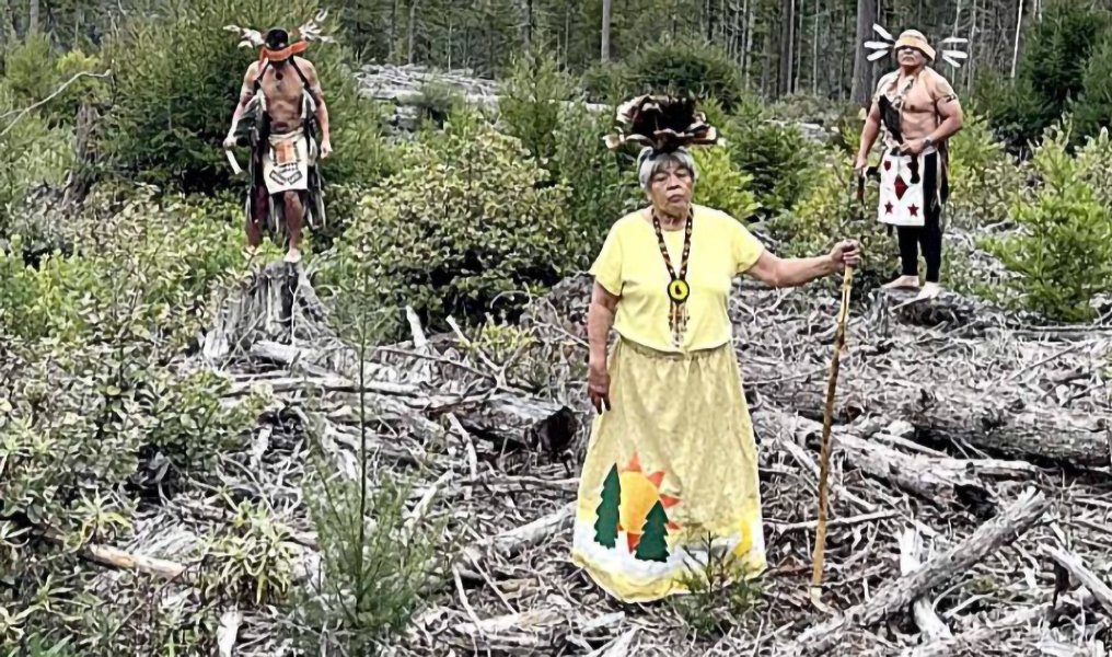 ICTPressPool's tweet image. California tribe asserting tribal sovereignty rights brings about pause in contentious timber operations and logging plan withdrawal in Jackson Forest. indiancountrytoday.com/the-press-pool… via @IndianCountry #ICTPressPool