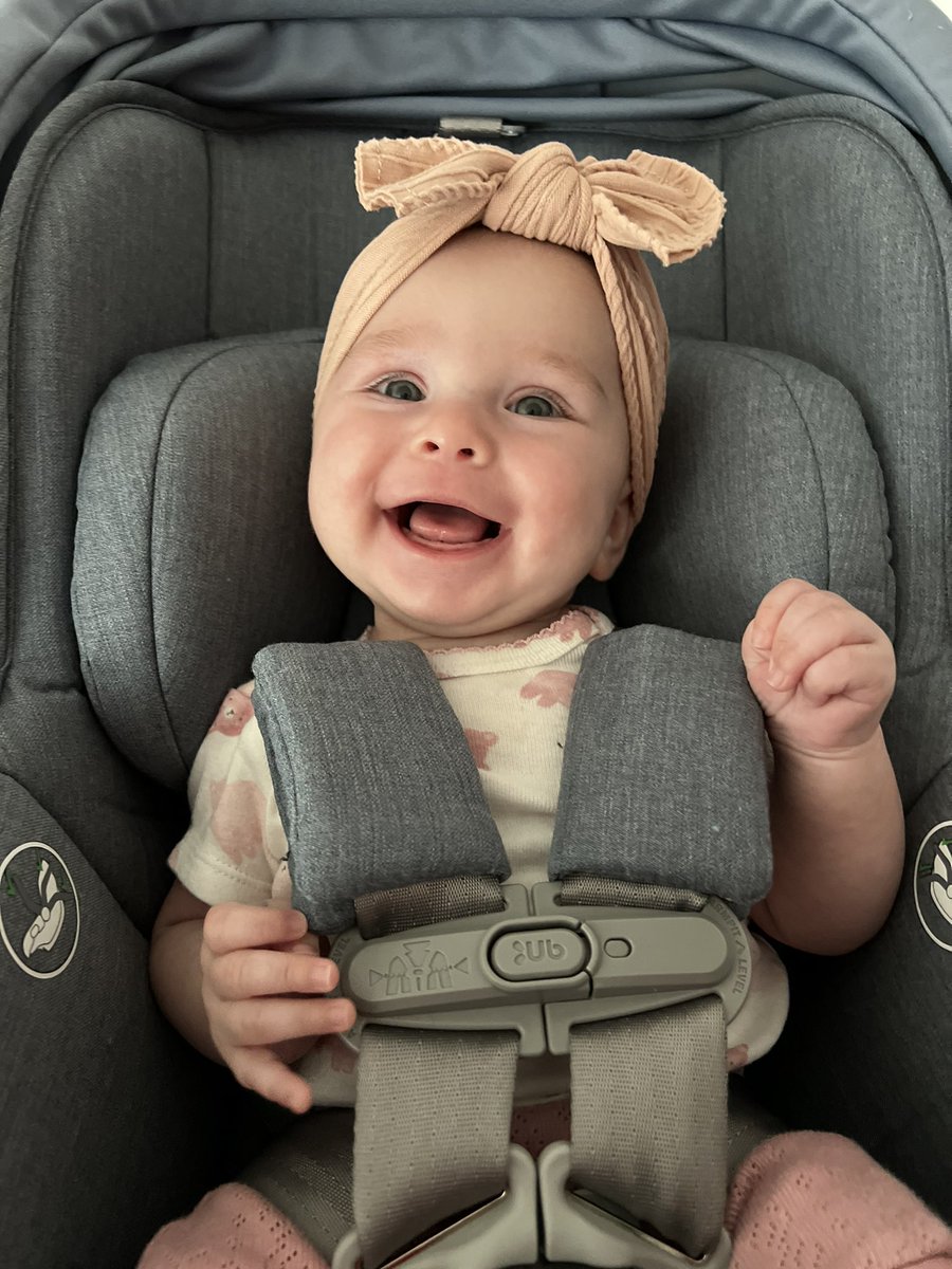 Michael Bagel tweet media