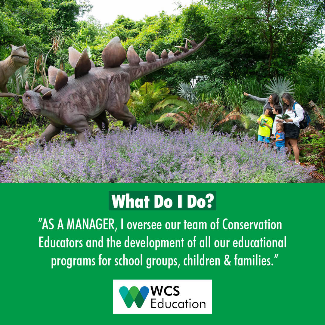 nycPope's tweet photo. BronxMama_com: RT @wcseducation: Meet the Manager of Education Programs @bronxzoo ! Veronica says "I enjoy helping our team of educators grow in their practice."

​#workinginwildlife #wildlife #tortoise #wcseducation #education #workingatwcs #conservatio… https://t.co/u4x3DvdR87