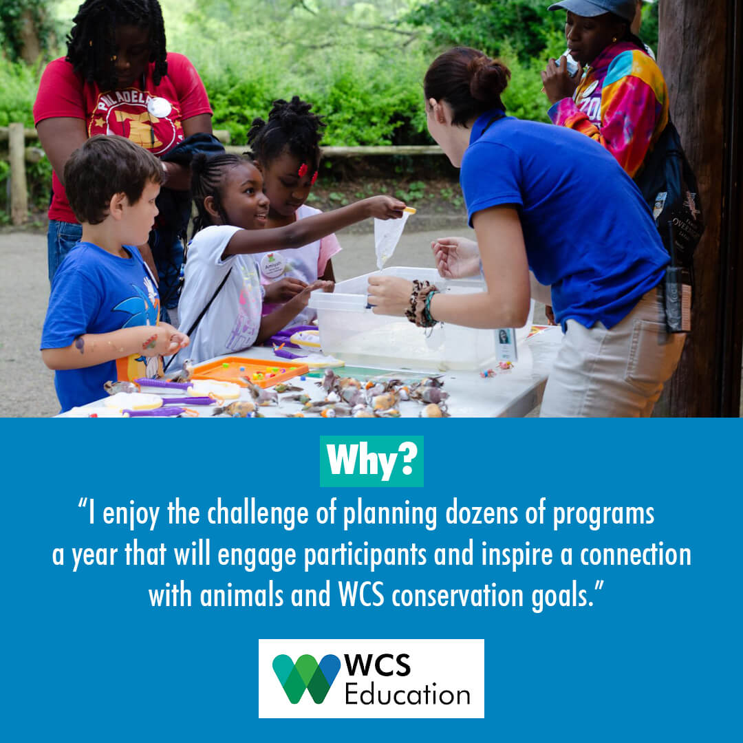 nycPope's tweet photo. BronxMama_com: RT @wcseducation: Meet the Manager of Education Programs @bronxzoo ! Veronica says "I enjoy helping our team of educators grow in their practice."

​#workinginwildlife #wildlife #tortoise #wcseducation #education #workingatwcs #conservatio… https://t.co/u4x3DvdR87