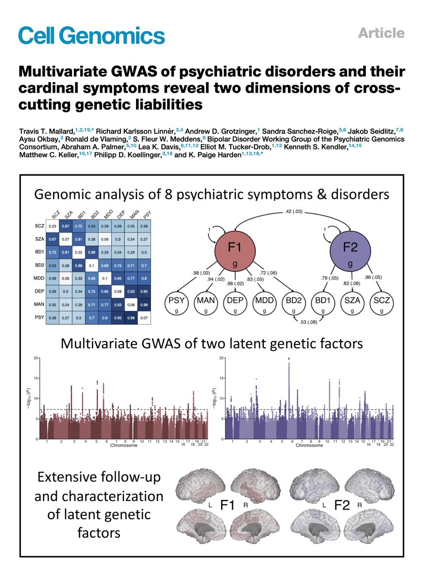 Well, well, well ... Look who finally showed up … Our study on genetic risk for mood and psychotic psychopathology is now published in Cell Genomics! 🧬🧠👨‍💻 cell.com/cell-genomics/… I’m excited to see this one in print. A few highlights: