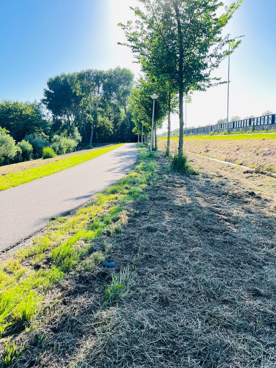 Lief <a href="/AmsterdamNL/">Gemeente Amsterdam</a> zullen we stoppen met maaien?