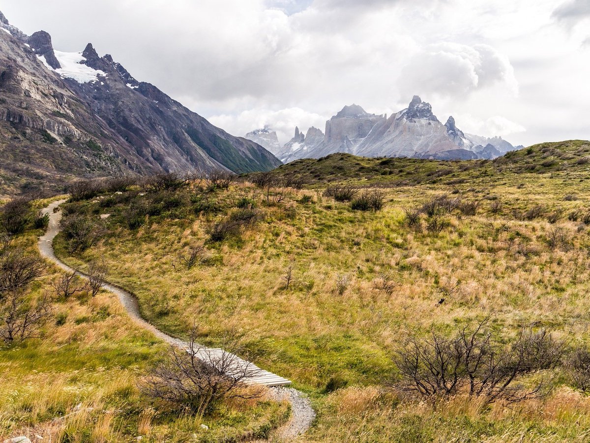 MKBusinessGuide's tweet image. Difficult roads lead to beautiful destinations. Where will your path take you?