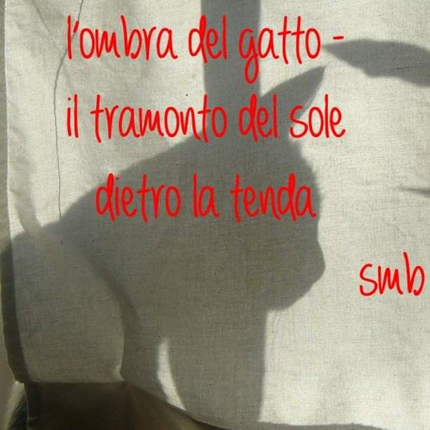 Sonia | Poesia Haiku | I racconti dei Marimo® tweet media
