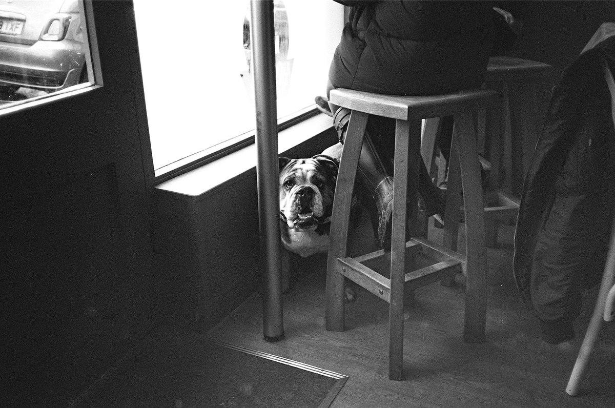 hyunsguns's tweet photo. Green District @PotterPayper - #bulldog #streetphotography #bwfilm https://t.co/p9knR4TNgm