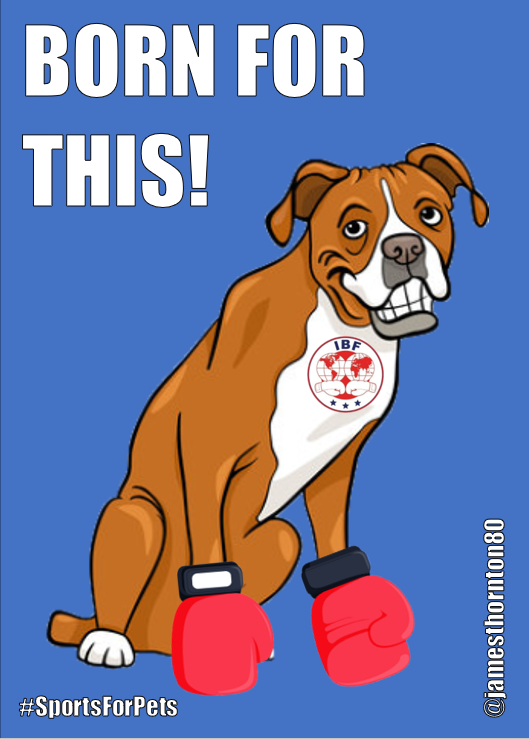jamesthornton80's tweet photo. Some things just come naturally. @OneMinuteBriefs #SportsForPets https://t.co/akRfWwXD7V