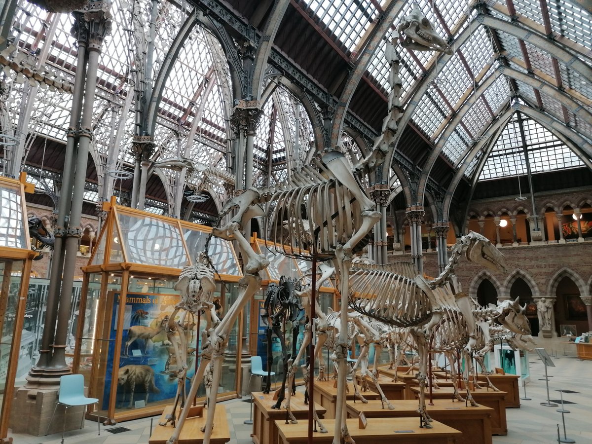 OxbridgeByWS's tweet photo. Thumbs up to @Pitt_Rivers 👍 👍 👍 A favorite of Oxford Prep Experience. 

Founded in 1884, it houses more than 500,000 objects from all over the world and all periods of human existence.

📸 Oxford Prep Experience, 2021 🇬🇧

#oxbridgeprograms #OxPrep https://t.co/YxGj0guIUr