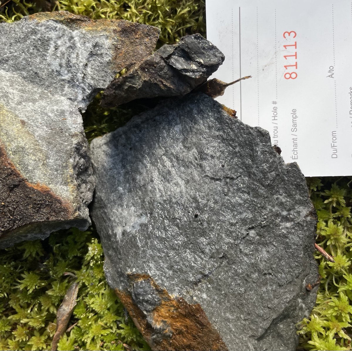 RenforthRes's tweet image. It's huuuuuge! Get your head down and check this out! Victoria #batterymetals structure at Surimeau is ~20km long and on surface for a good bit of that.  #pressrelease today! renforthresources.com/successful-pro…
$RFR $RFHRF #RFR #RFHRF #nickel #copper #zinc #cobalt #Quebec