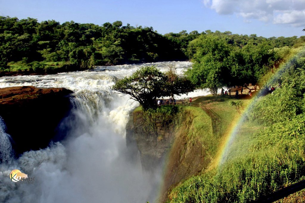 ksafarisuganda's tweet photo. Could be next to #Victoria falls in stunning beauty.  One of Africa’s wonders that have #Uganda the name “Pearl of #Africa” 

Inset falls  in #Murchisonfallspark #Uganda  
.
.
.
.
#Africasafari, #travel, #, #Naturephotography, #Wildlifephotography, #elephants #travelphotography, https://t.co/t0dwlAxuf6
