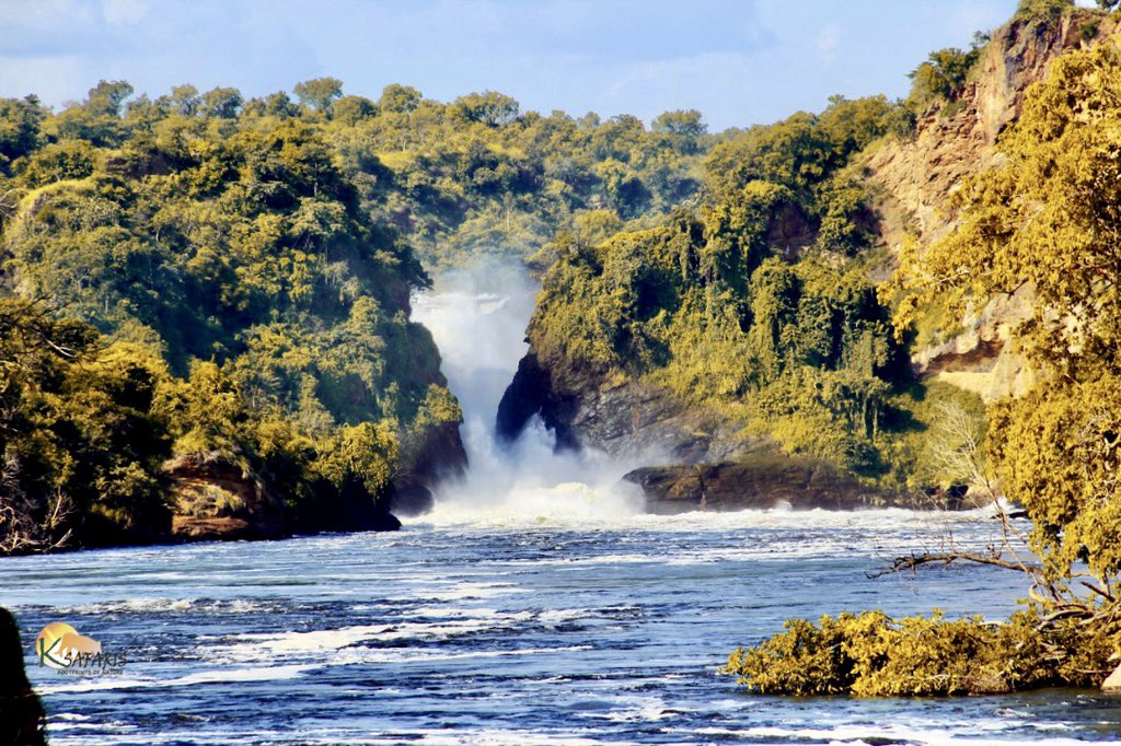 ksafarisuganda's tweet photo. Could be next to #Victoria falls in stunning beauty.  One of Africa’s wonders that have #Uganda the name “Pearl of #Africa” 

Inset falls  in #Murchisonfallspark #Uganda  
.
.
.
.
#Africasafari, #travel, #, #Naturephotography, #Wildlifephotography, #elephants #travelphotography, https://t.co/t0dwlAxuf6