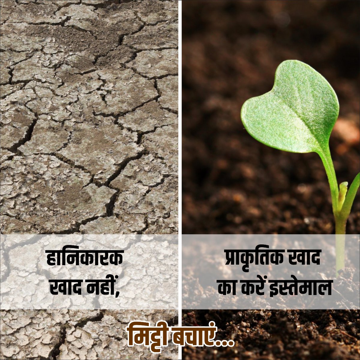 SonalRajput9090's tweet photo. Miti ko basana he to adhek podhe lagaa or miti ko basaa
#SaveSoilMP https://t.co/xaNr2ThdIz