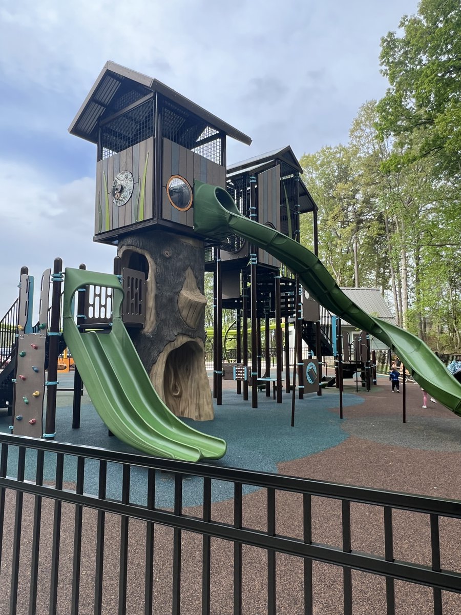 TheDoddStudio's tweet image. Rosedale Nature Park is perfect for the summer!