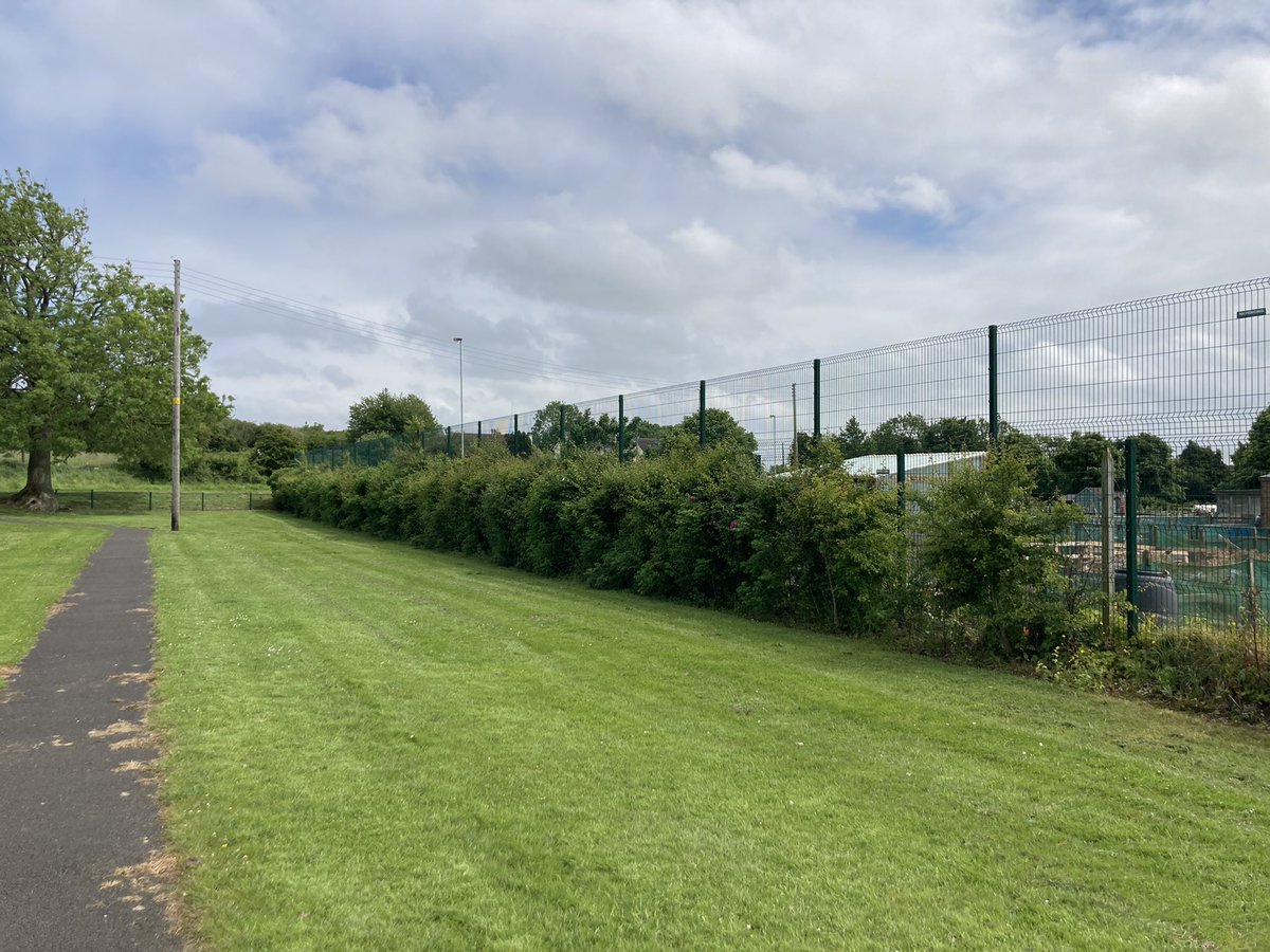 muckandmore's tweet photo. Hedging then followed in 2017 thanks to the Enkalon foundation to screen the fence and encourage wildlife @JillyDougan @ANBorough @DavidGMaxwell https://t.co/Evg5tRXN9P