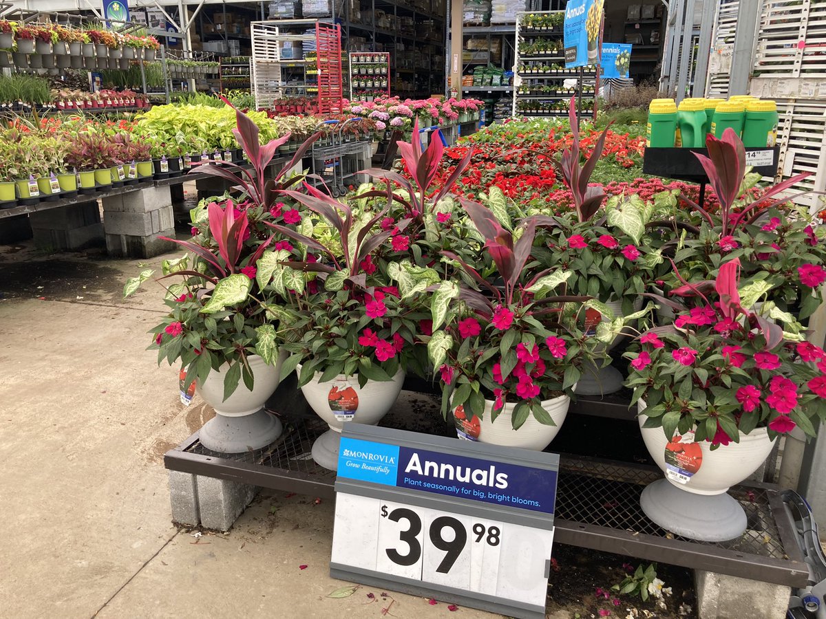 Kate11589687's tweet photo. I’m just so grateful for my team👏👏👏 Making real magic happen every day😍 #Lowes2589 #PlantPartners https://t.co/vsPC2KFkn9