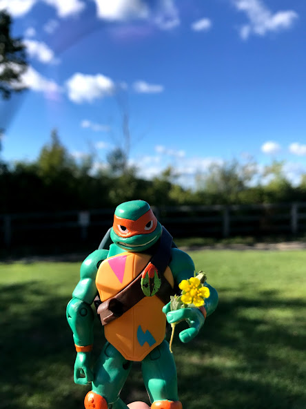 NFTs_in_a_Half_Shell tweet media