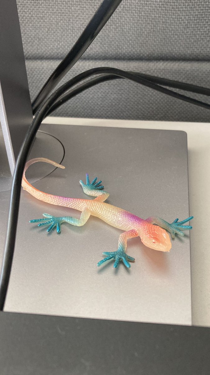 xindyfly's tweet photo. 🦎 https://t.co/PWd4h1cZgJ