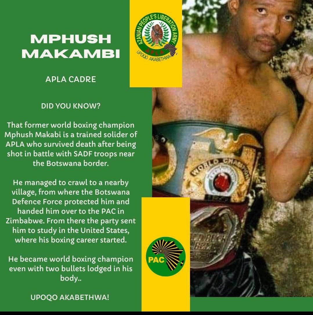 PAC Limpopo (@paclimpopo) on Twitter photo 