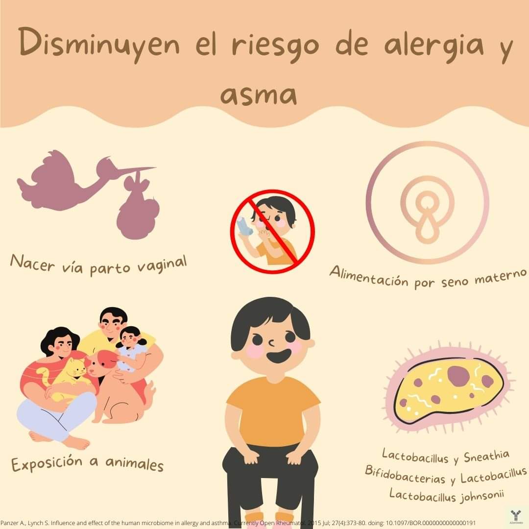 AllerGeeks's tweet photo. Factores que disminuyen el riesgo de alergia y asma.
#sibilancias #asthma #breathing #allergy #salbutamol #difusioncientifica #corticosteroids #asma #alergias https://t.co/b6tj1WyBpV