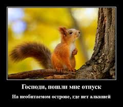 <a href="/yurshik/">Юрий Щетинин</a> <a href="/chernyj1974/">Сергей chernyj1974</a> Здравствуй, Юра!))