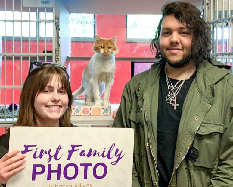 ARLIowa's tweet photo. After many weeks of recovery in our care, we’re happy to share that Jonesy has been ADOPTED! Shylah and her roommate came to look at cats, and Jonesy talked to them the entire time they were here! Needless to say, they fell in love … and the feeling was mutual.  #teamjonesy https://t.co/IsSbf7bHDf