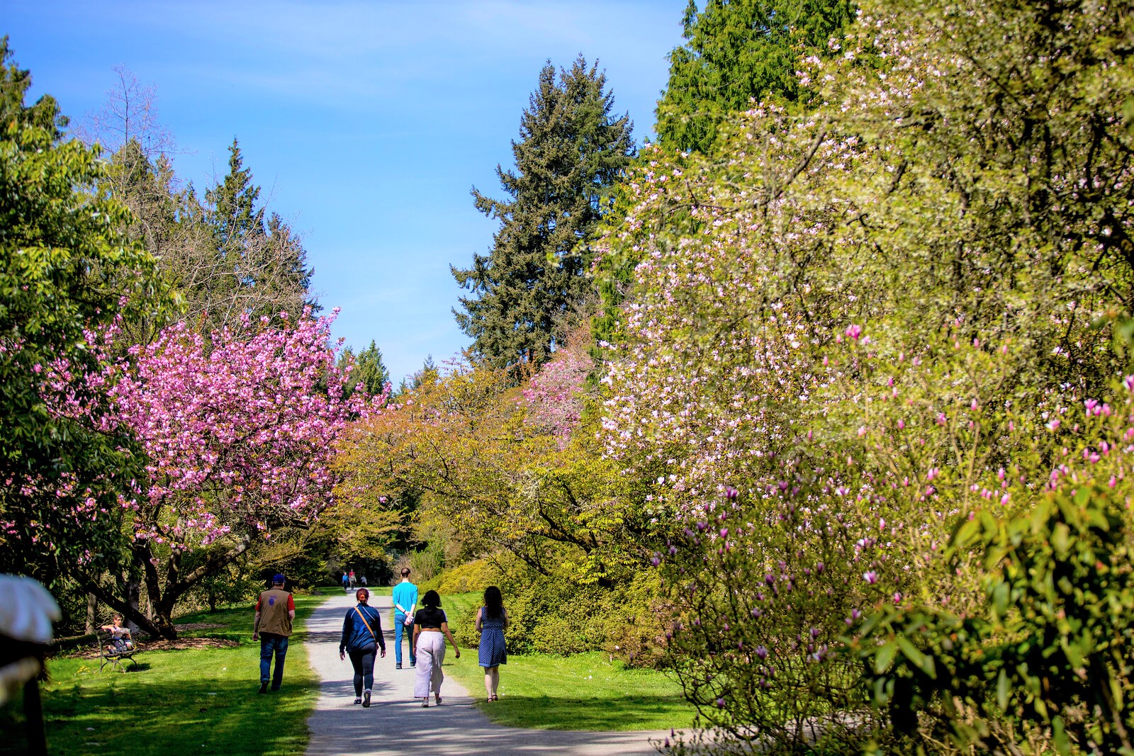 UW Botanic Gardens on Twitter: "Come bathe in the Washington Park ...