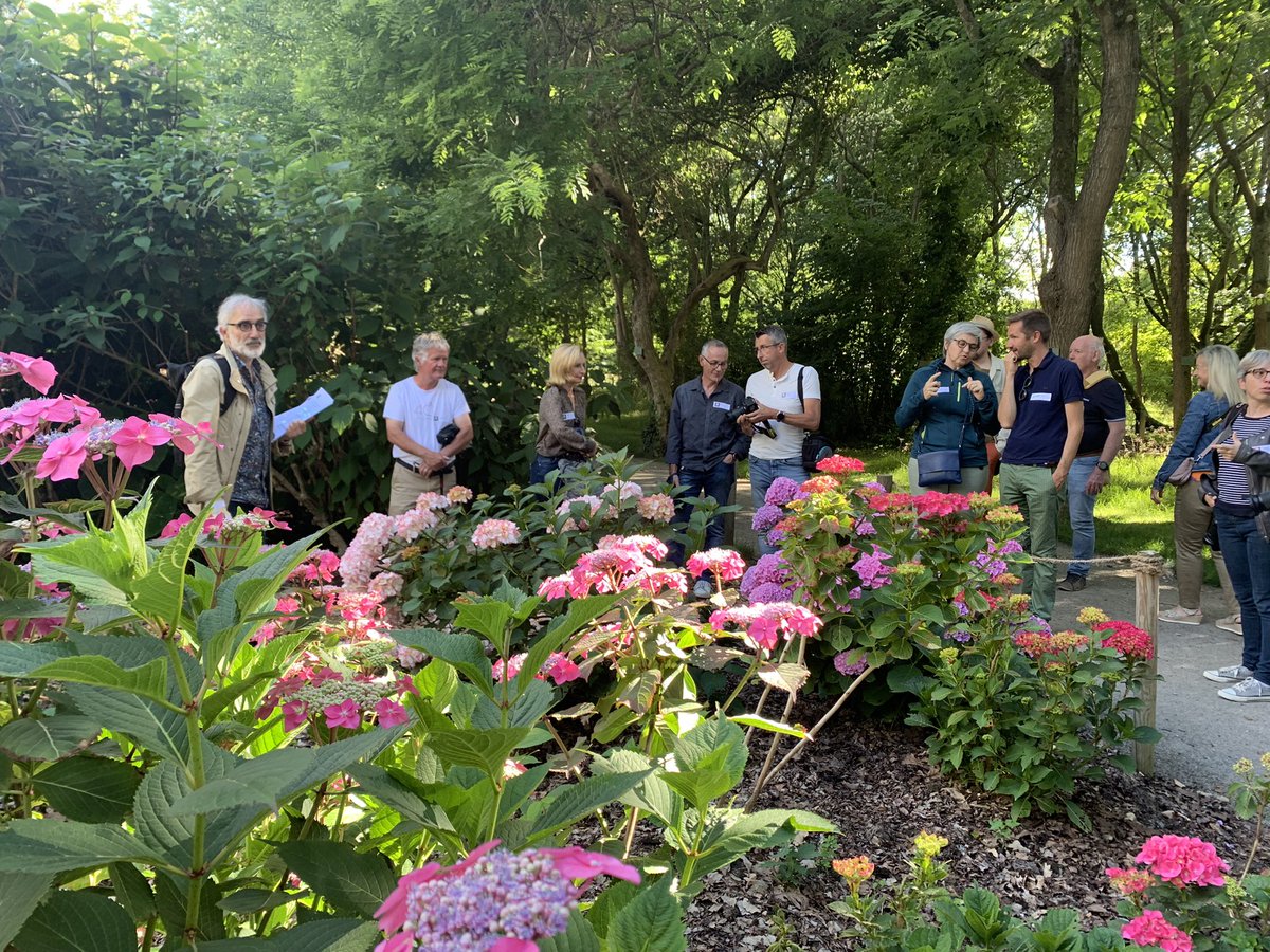 Angers_Jardins's tweet photo. Les @IgersAnjou accueillis au parc de l’Arbiretum #Angers pour une soirée découverte de l’espace de collection des hydrangeas et de nos jardins qui vont bientôt accueillir de beaux décors dans le cadre de @2022Ihc #SupernatureAngers https://t.co/ocNR5iy4ri