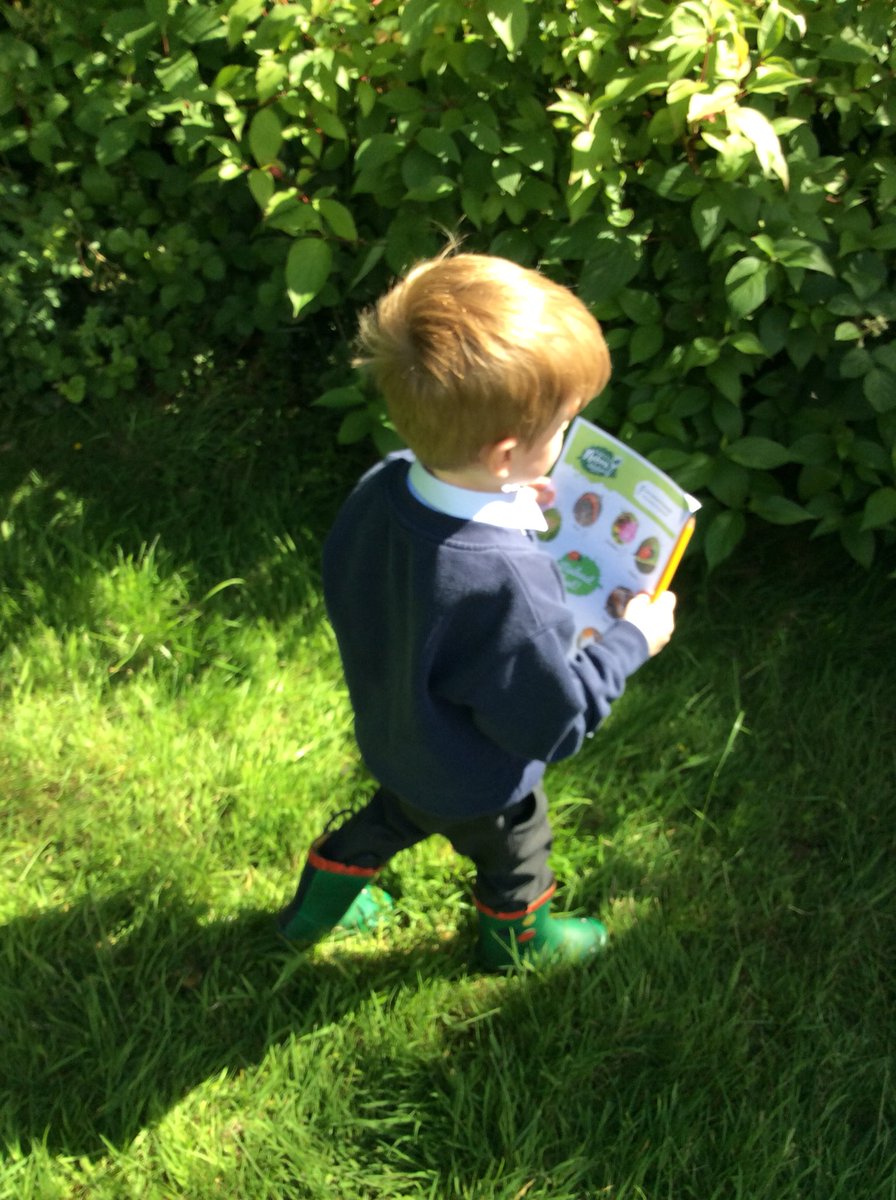 ASA_FS1's tweet photo. This morning, we went on a mini beast hunt on the field ππ #ASAOutdoorLearning https://t.co/l4ep3tgQFd