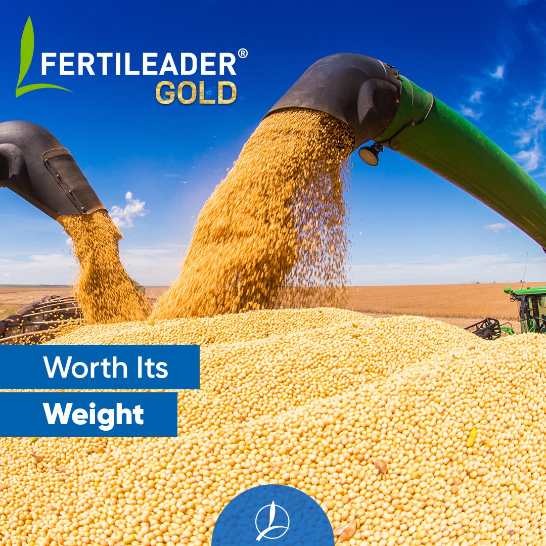 Soybean / Dry Bean / Alfalfa/ Corn Foliar application season will be here in a flash.  Tank mix <a href="/TimacAgroCanada/">Timac Agro Canada</a> #FertiLeaderGold into your inseason Foliar application.
Contact me to discuss