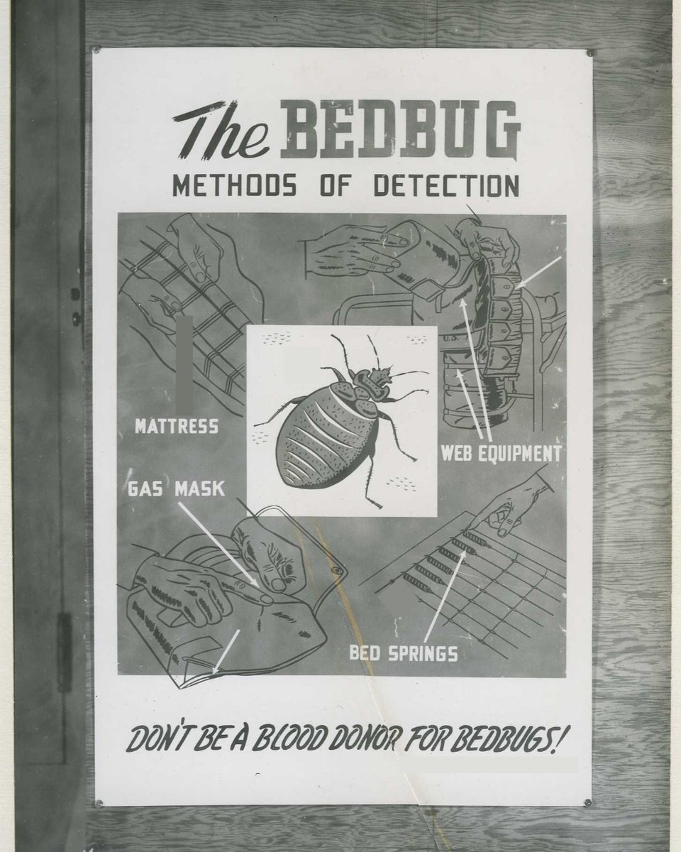 medicalmuseum's tweet photo. Try and spot the differences in our bed bug posters for #BedBugAwarenessWeek.
Even though #bedbugs have been mostly eradicated, they can still pop up where body heat is prevalent and frequent traveling occurs, like barracks. https://t.co/tG45HtUPbv