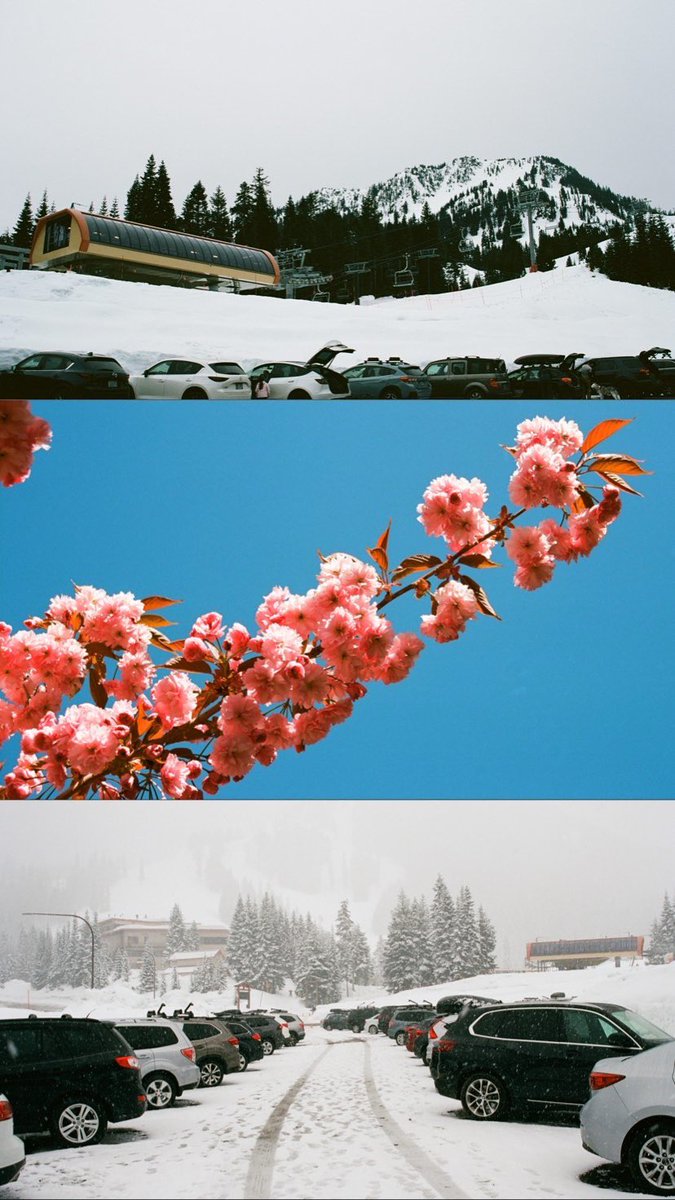 NFThunting's tweet photo. Missed y’all here’s some film I got back recently 💙 https://t.co/zbBy0BdjTF