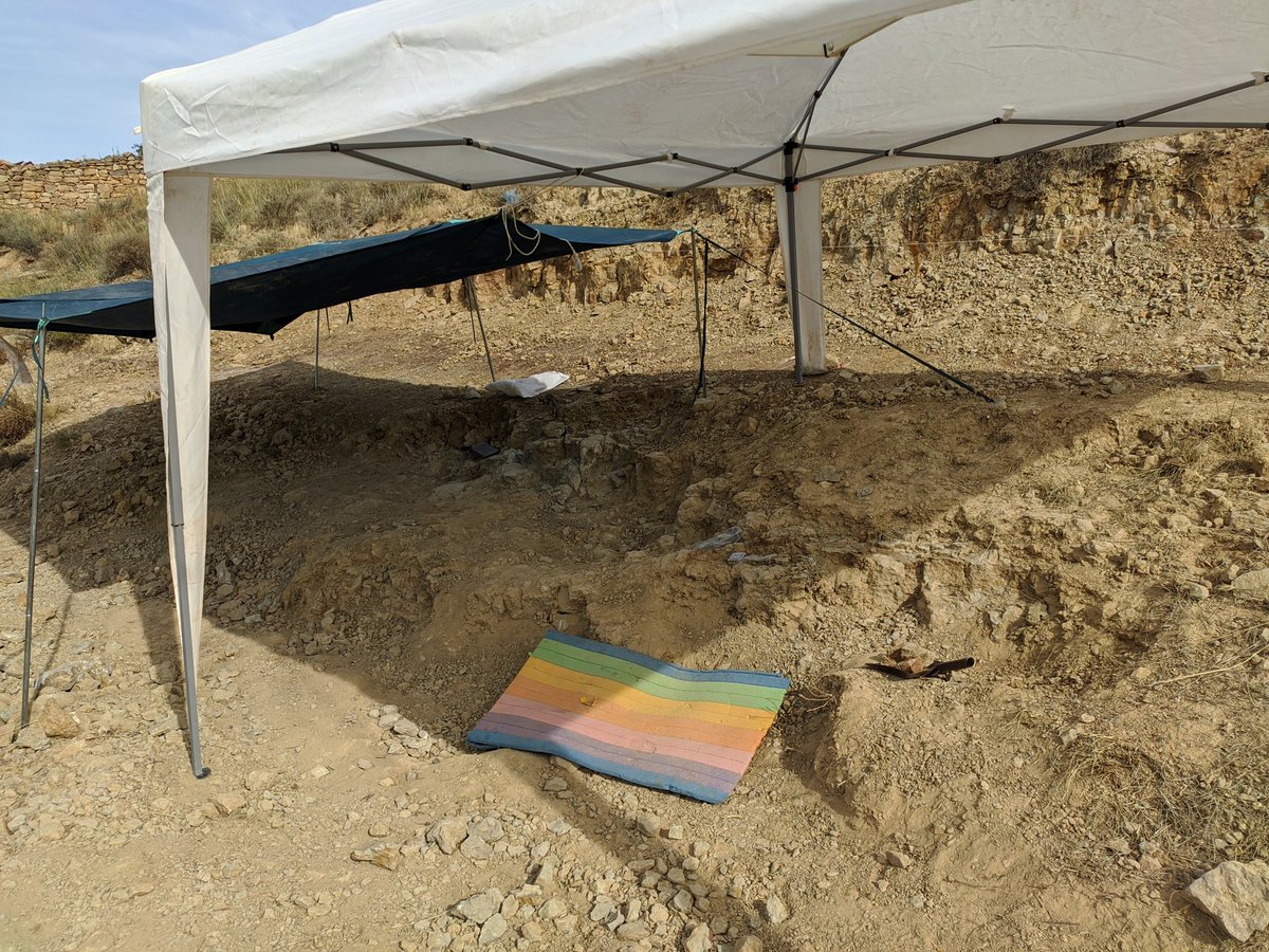 MedranoAguado's tweet photo. Digging dinosaurs🦖 in the Cretaceous World in the Jurassic World week with the @Aragosaurus and @museonat crew! #paleontology #geology https://t.co/xakdjoldFf