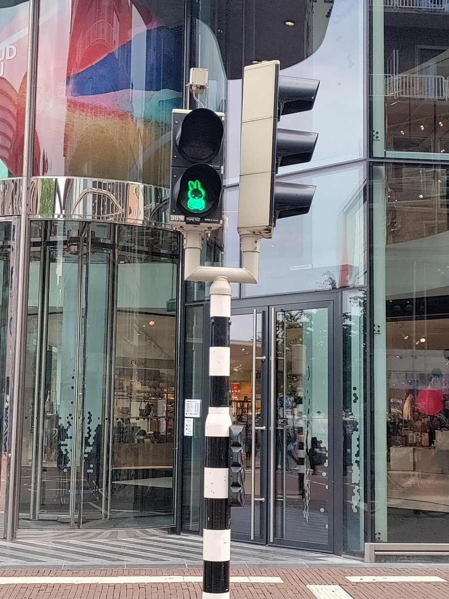 Kate Jones🇪🇺🏴󠁧󠁢󠁷󠁬󠁳󠁿🇱🇺🇬🇧 tweet media