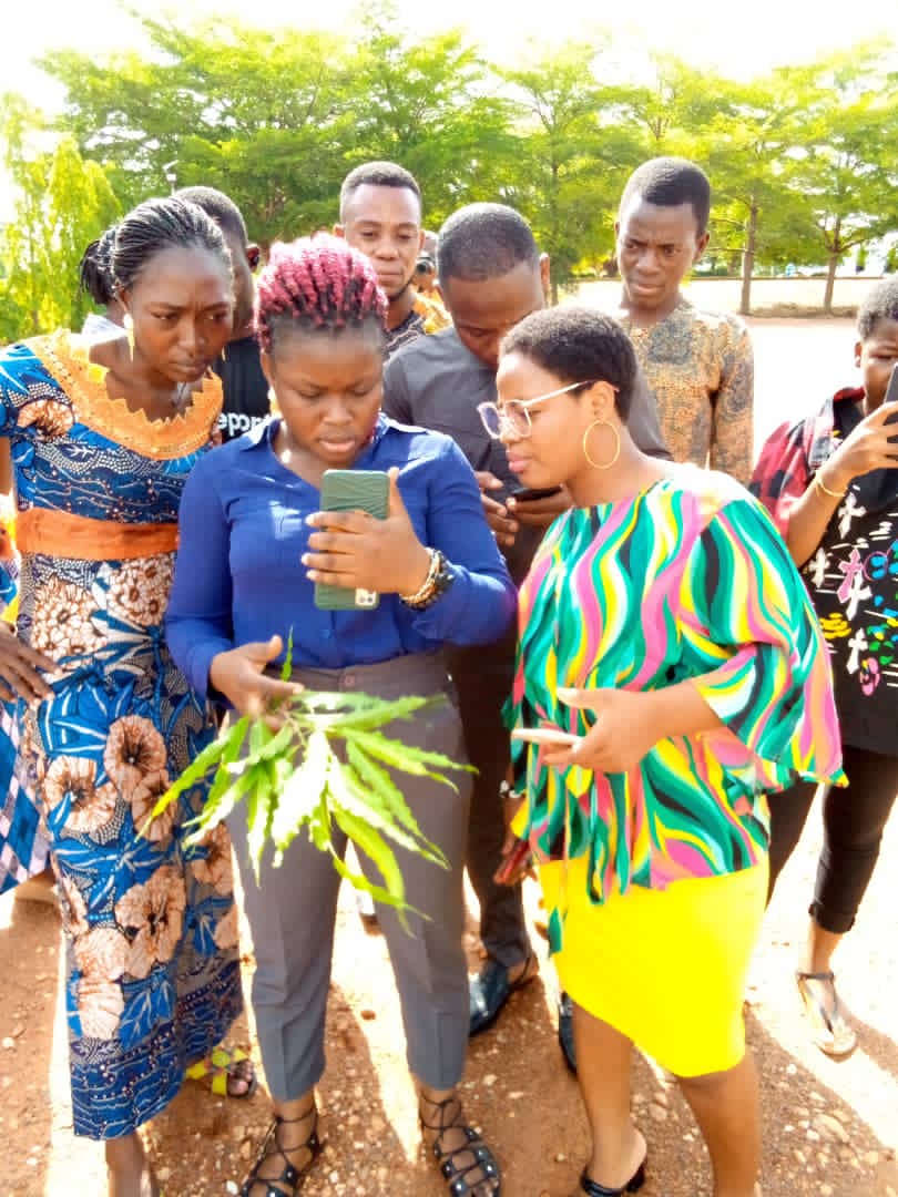 ONG Femme Baobab tweet media