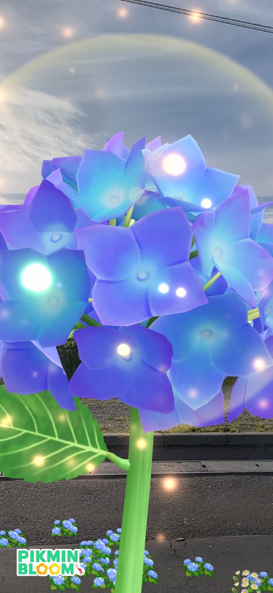 ピクミン 高画質 のtwitterイラスト検索結果