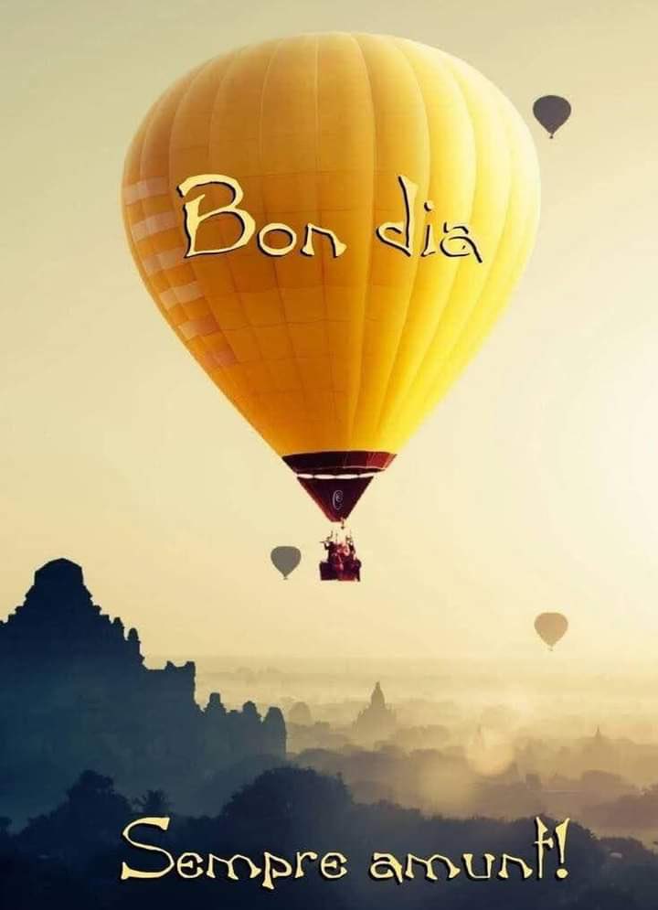 GEMMGEPEVE's tweet photo. @laxarxaxanante1 @elviatgercat @ctorne Bona tarda a tothom! https://t.co/Q3IROtD9WN