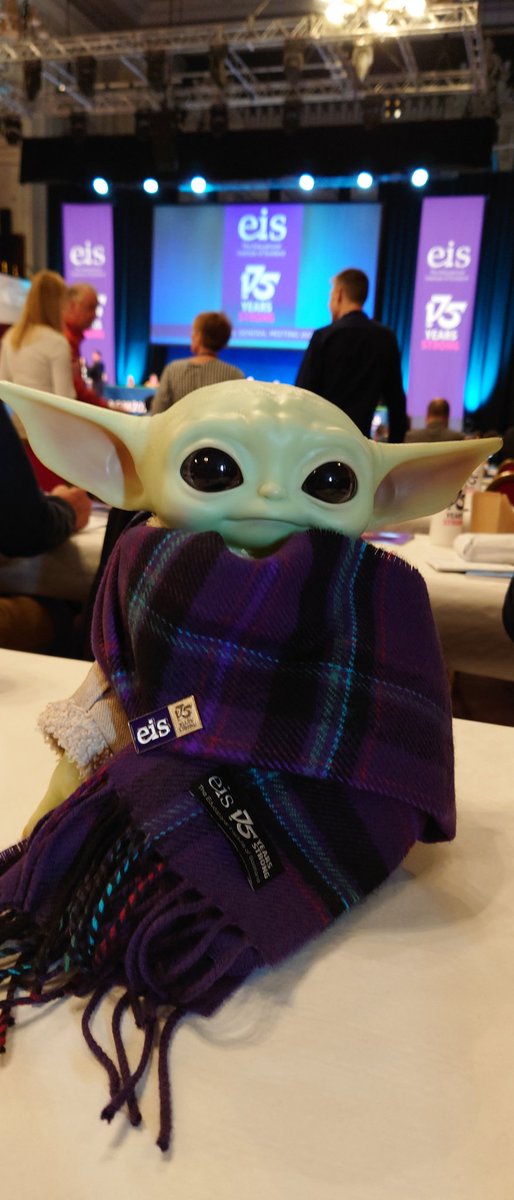 EisGrogu's tweet photo. I'm in the hall and I love my new scarf! #EISAGM22 https://t.co/z0c58PxYwP
