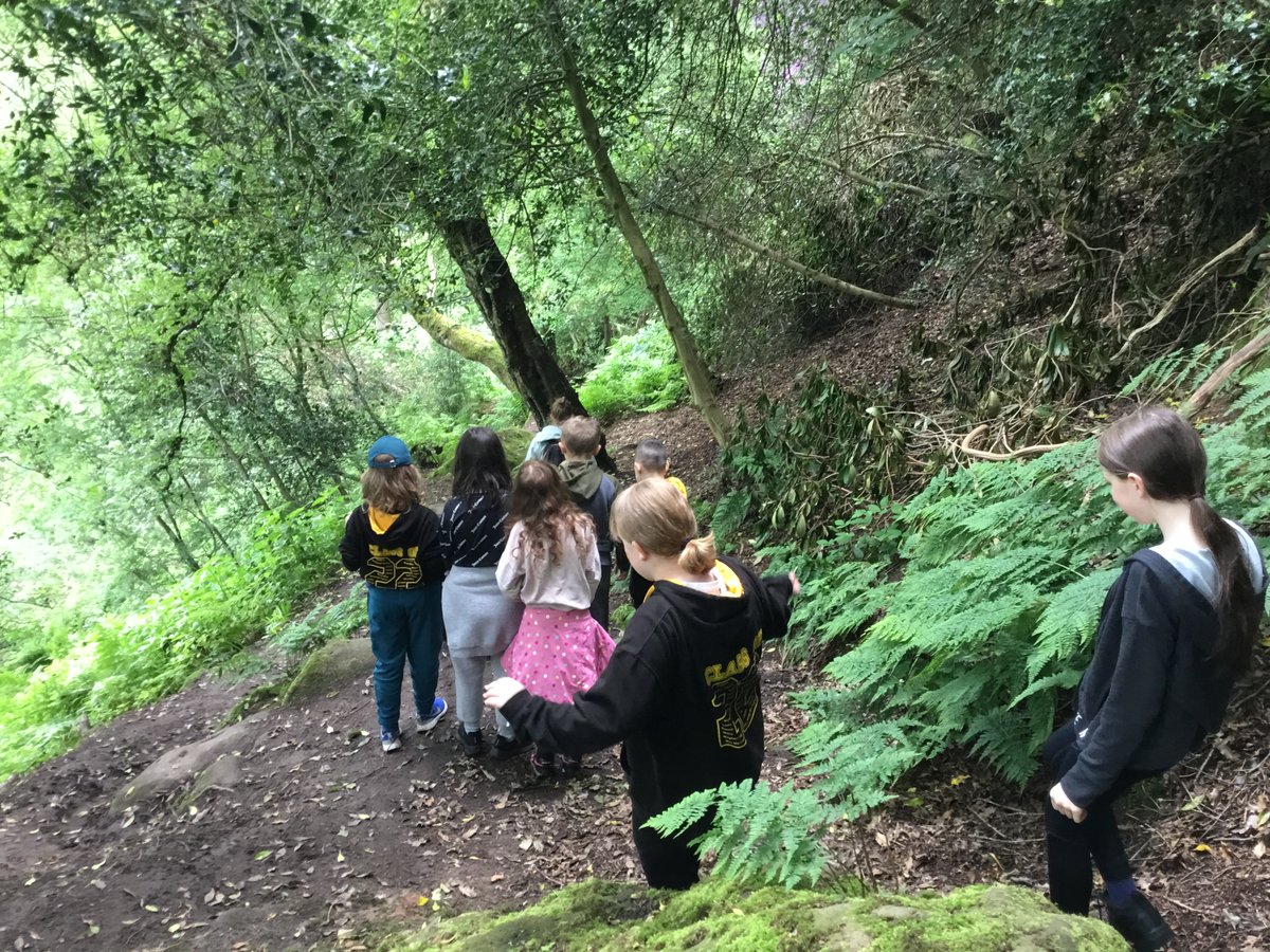 GrdangelsCP's tweet photo. Scahill group enjoying their trek around the beautiful grounds this morning #godscreation #welovenature #wearedisciples @MrsMilligan4 @AltonCastle_KYT https://t.co/f2Z3SiYiVo